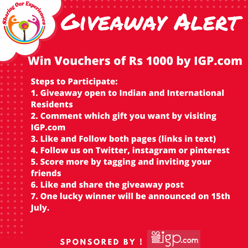 Sharing Our Experiences IGP Giveaway