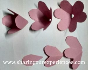 DIY Crepe Paper Rose flowers - Sharing Our Experiences