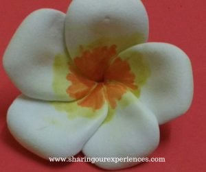 White Champa Flower Foam Craft for Kids - Easy step by step tutorial ...