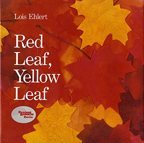 Red leaf yellow leaf popular Fall books for kids