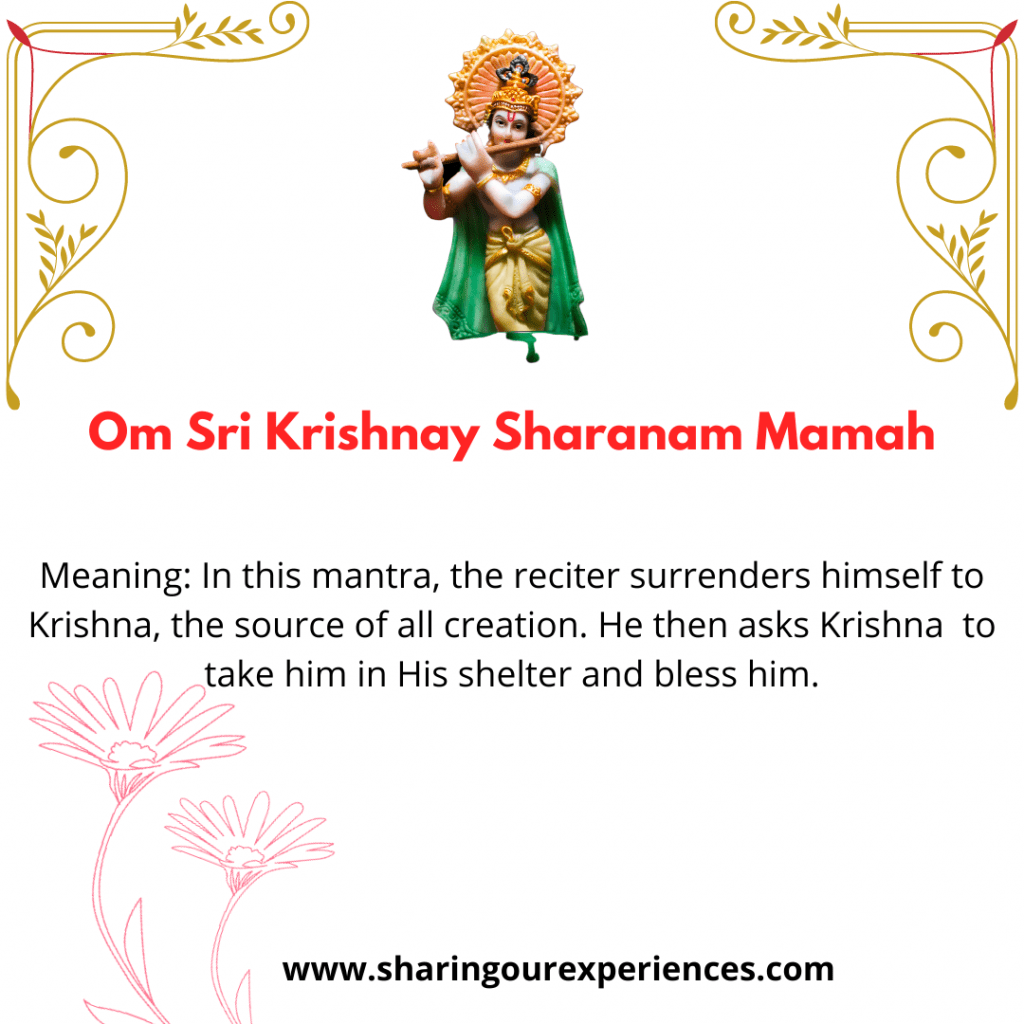 Popular and easy Sanskrit  Krishna Shlok and Mantra with meanings - Om Sri Krishnay Sharanam Mamah