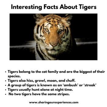 Interesting and fun facts about animals for kids - Sharing Our Experiences