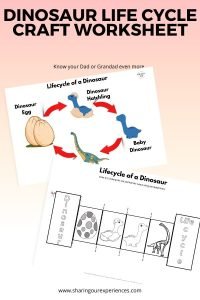 Dinosaur life cycle craft worksheet