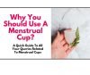 Are Menstrual Cups Safe? All You Need to Know About Menstrual Cups 2023 ...