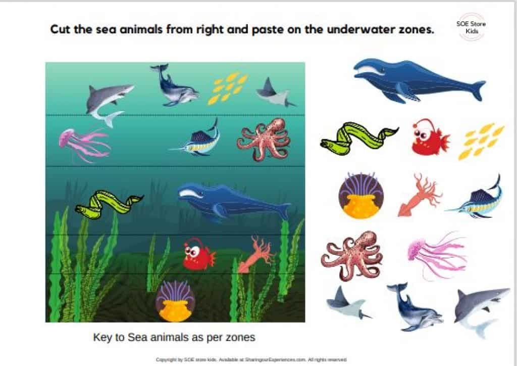 Ocean Animals For Kids Research