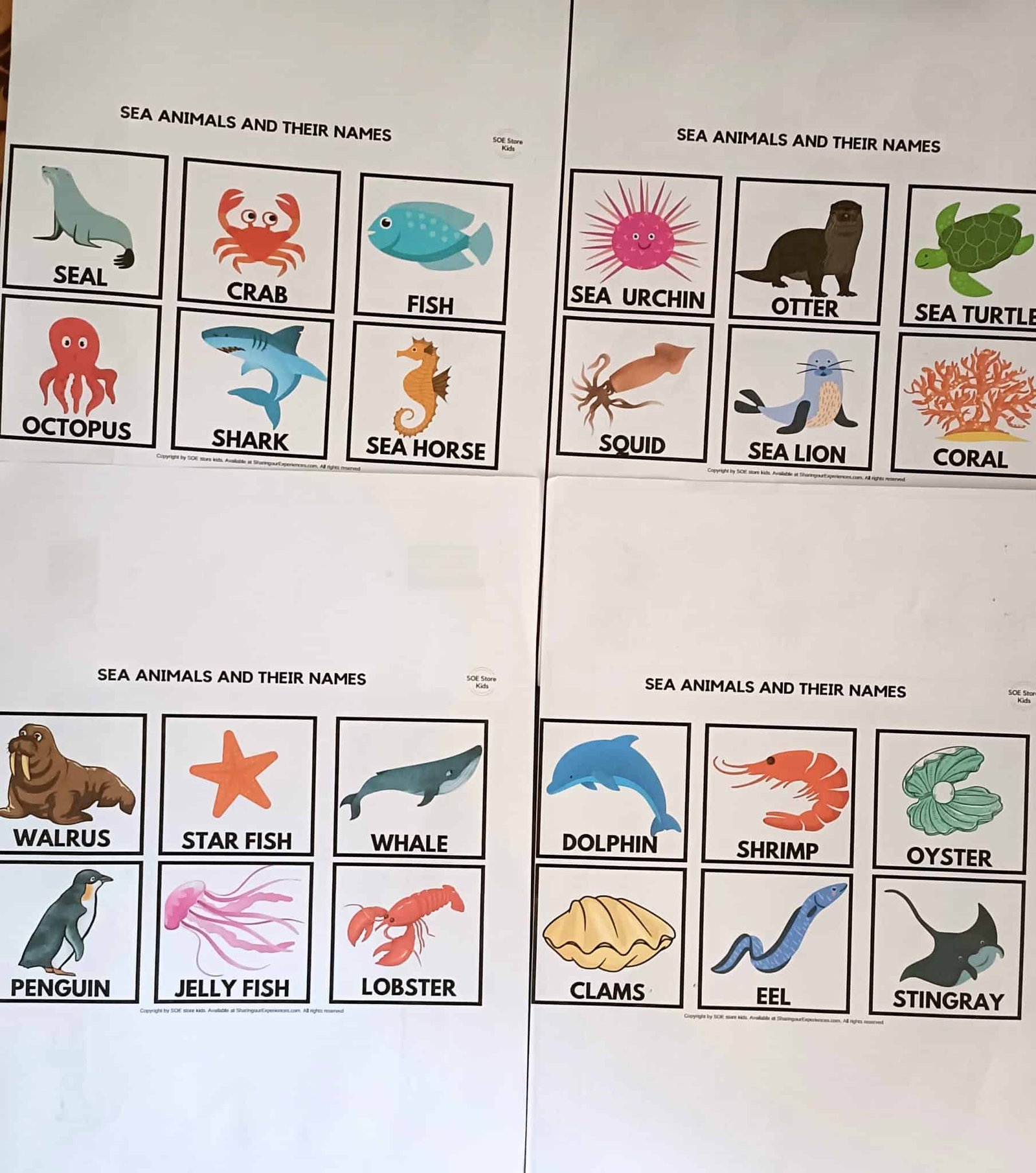 Teach Your Child About Ocean & Life At Ocean- Simple Play Ideas With