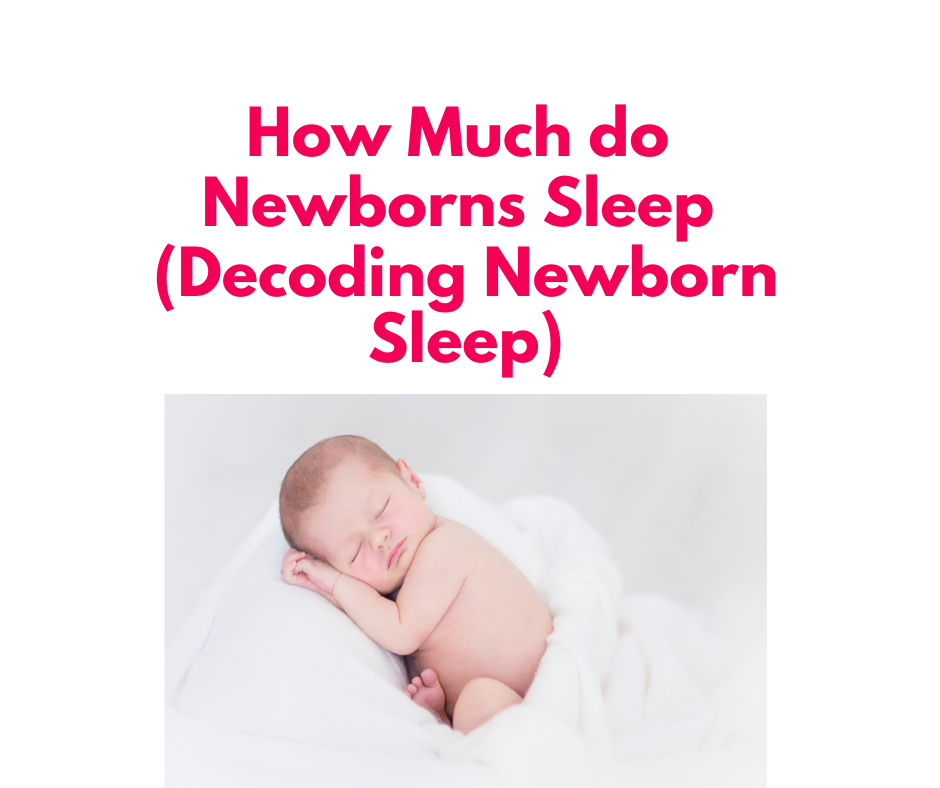 How much do newborns sleep