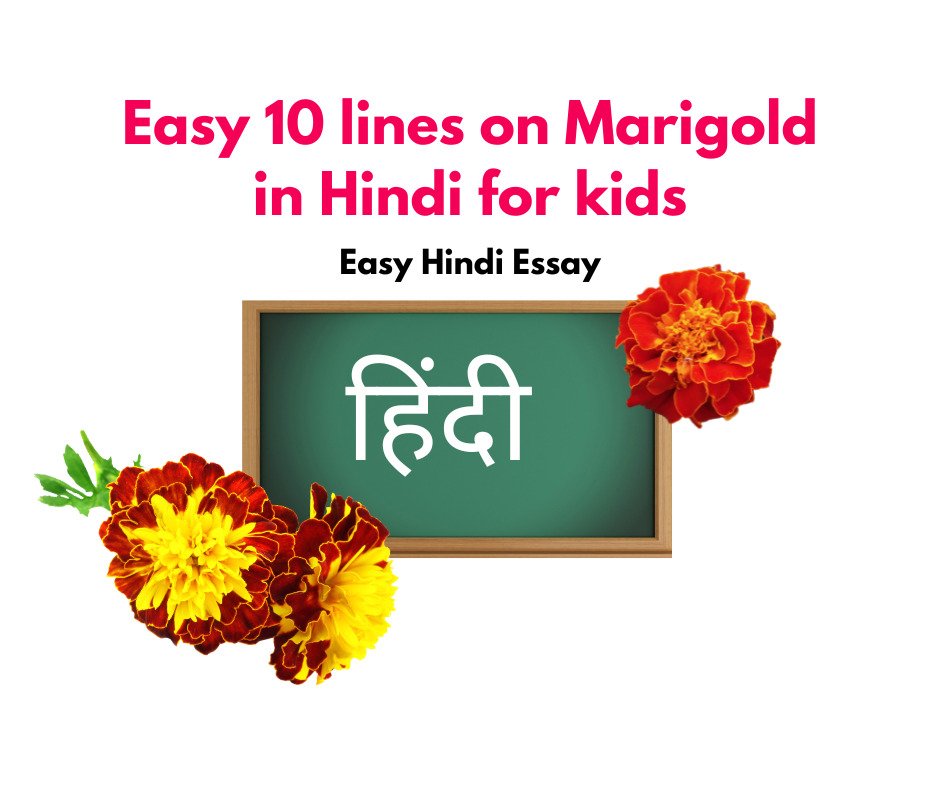 Easy 10 lines on Marigold in hindi for kids